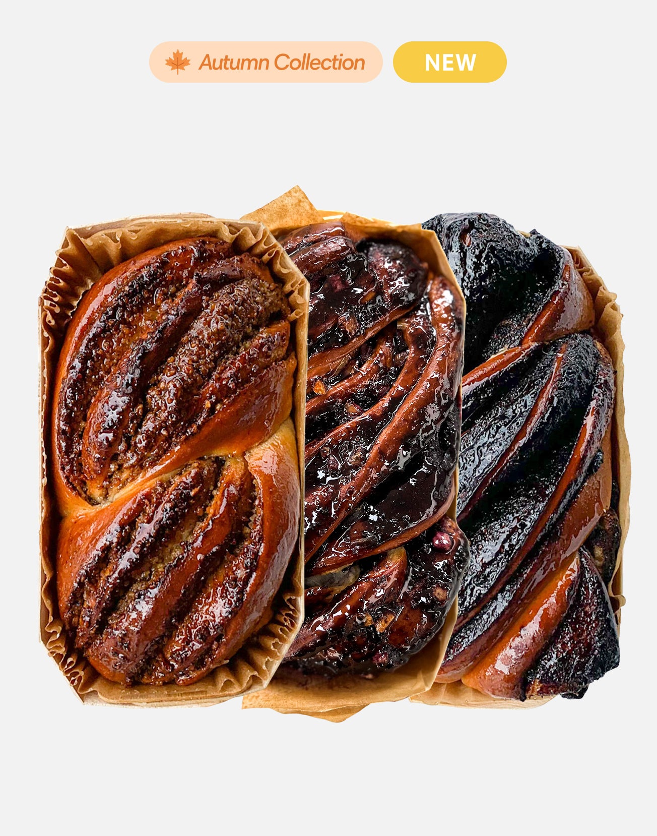 Babka Autumn Bundle (Cacao, Nucă, Afine)