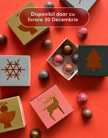 Winter Selection - 4 praline (50g)