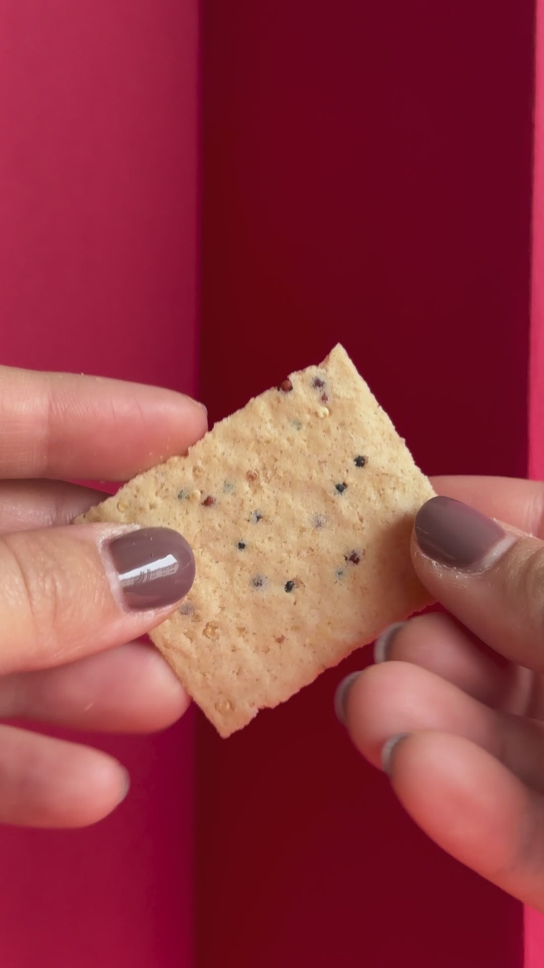 Crackers cu Parmezan (120g)